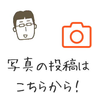 写真の投稿はこちらから
