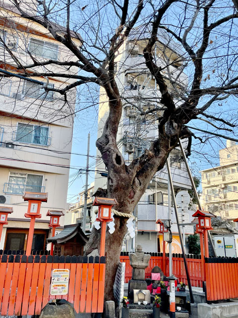 天満橋筋から分岐する旧道に沿って鎮座