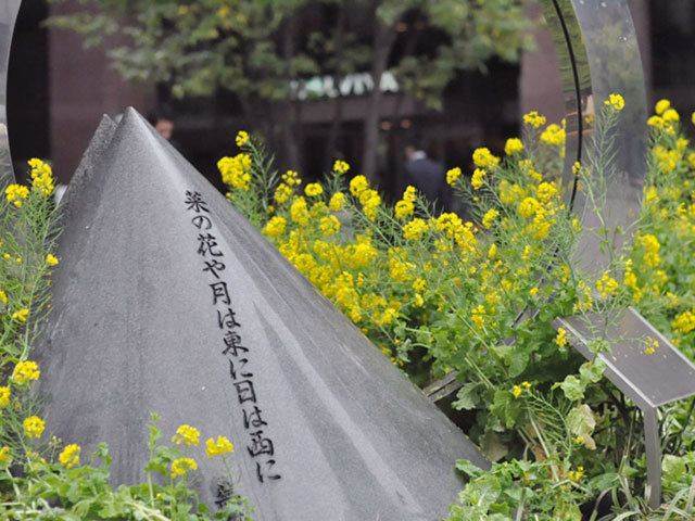 街を菜の花で彩る取り組み「菜の花散歩道」が毎年実施されている